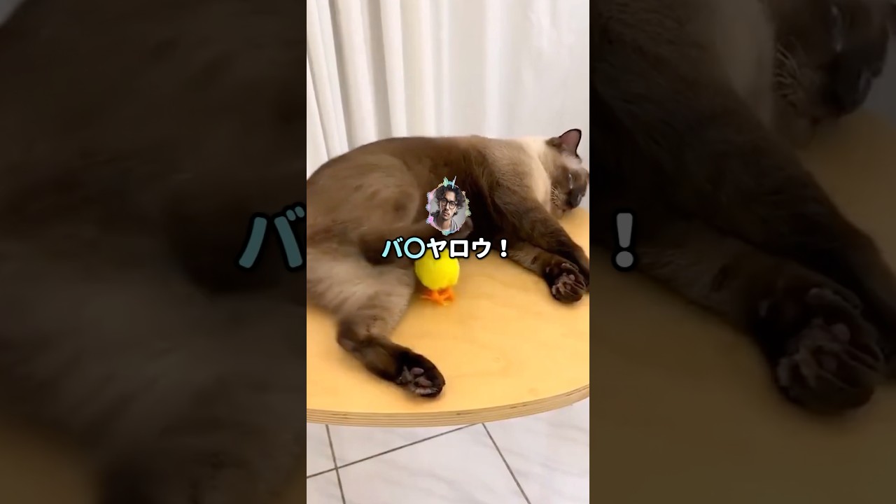 【ジョーク】やるべきこと