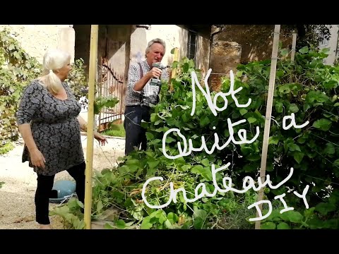 Not Quite a Chateau DIY 134 - Running out of Jobs - A Tidy Potager - planting Leeks & Saving  Beans