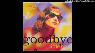 The Triffids - Goodbye little boy