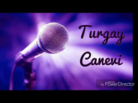 Turgay Canevi  (Ben Her Gece Sarhoş Değildim  (Canlı kayıt 🎶❤🎵🎤