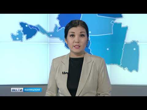 Вести «Калмыкия»: дневной выпуск 29.10.2018