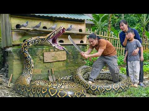 FULL VIDEO : 200 days of survival alone, spotting wild boars and crafting some primitive traps