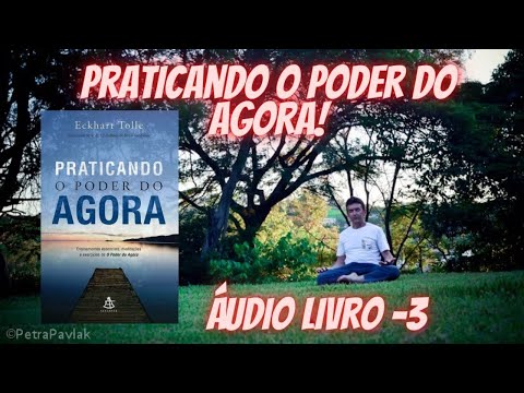 PRATICANDO O PODER DO AGORA - ECKHART TOLLE. - Áudio Livro