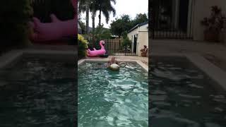Sloth Slide