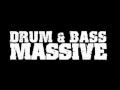 Calyx - Chasing Shadows