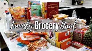 GROCERY HAUL FAMILY OF 4 // GROCERY ON A BUDGET // CLEANING MOM