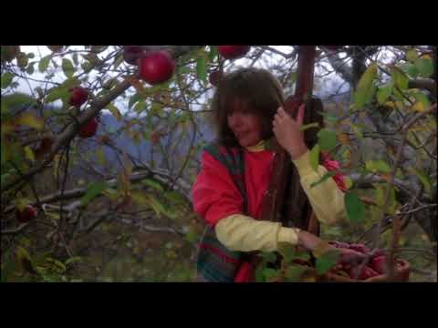 Baby Boom (1987) - Moving To Vermont