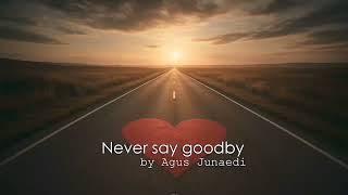 Download lagu Agus Junaedi Title Never Say Goodbye (  Music Studio ) mp3