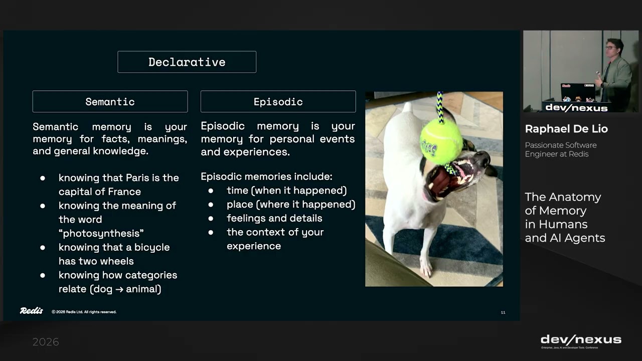 Devnexus 2026   The Anatomy of Memory in Humans and AI Agents   Raphael De Lio