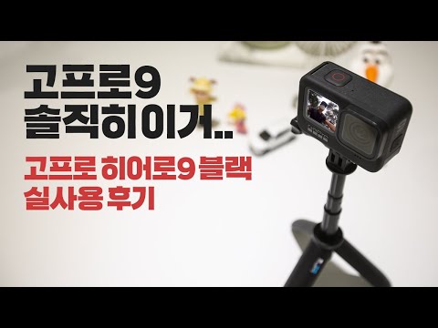 ������ �����9 ����