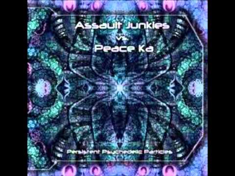 Assault Junkies - Assault Funkies