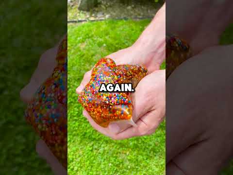 The Everything Restaurant