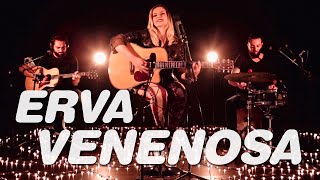 Erva Venenosa l Rita Lee l Carina Mennitto Trio