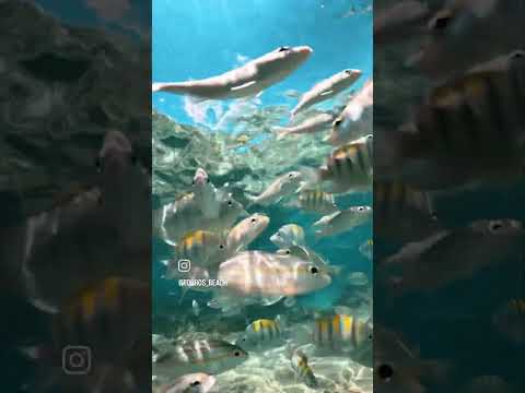 Touros Río grande do Norte, praia de Carnaubinha litoral norte, nordeste brasileiro.🏖️🌴🏘️🇧🇷