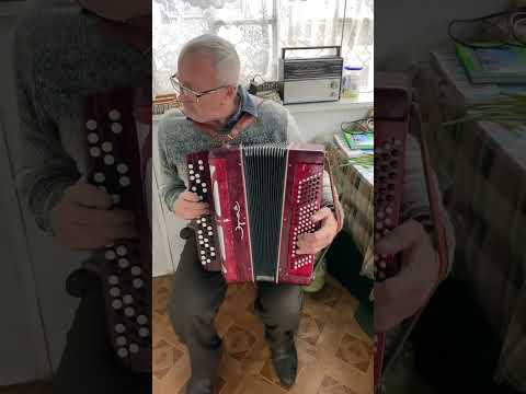 Like New Working Vintage button accordion, Era button accordion, 120 bass, Russian Accordion