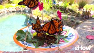 Butterflies Swarm a Home-Made Feeder