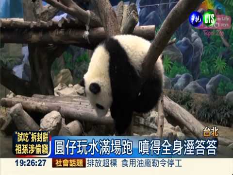 27kg圓仔愛玩水 靠"藍桶君"抬離