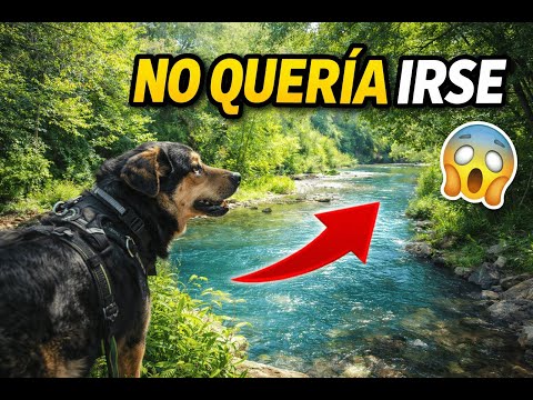 Episodio 3: Migo NO quería irse… un paseo junto al río en Sagrada Familia 🐶💦