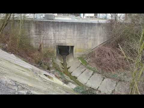 Resser Bach - Part 2 Pumpwerk Gelsenkirchen - 06.03.2022