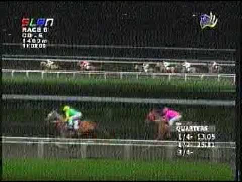 MHP SLLP NOV 2, 2009 RACE 8 MR GODFATHER