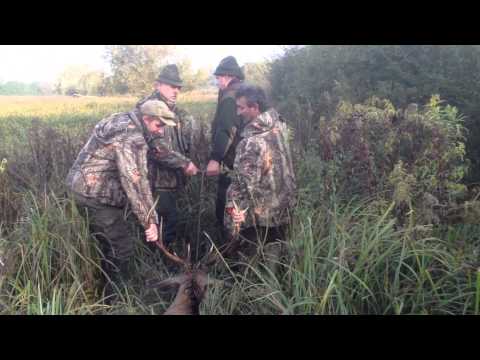 Bergung eines "Hirschkäfers" durch den Sumpf