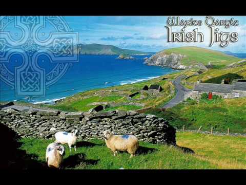 Traditional Irish Jig Medley: Geese In The Bog / The Wind That Shakes The Barley