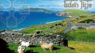 Traditional Irish Jig Medley: Geese In The Bog / The Wind That Shakes The Barley