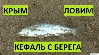 Рыбалка в коктебеле с берега драконы