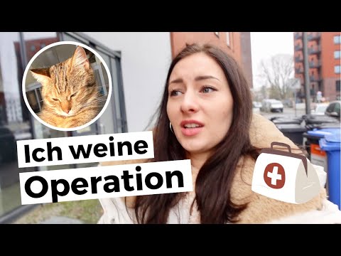 Ich weine wegen Operation 😣 🩺 VLOG | Kastration unserer Katzen