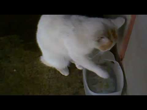 MONONA TOMA AGUA CON LA MANO