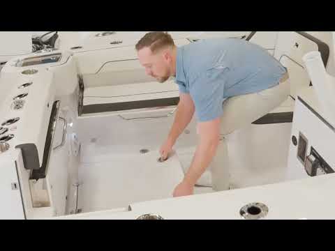 2026 Stingray 259 DC video 1