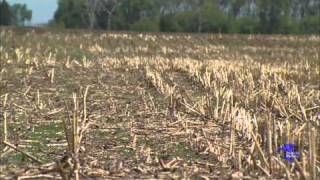 Stewards of the Land