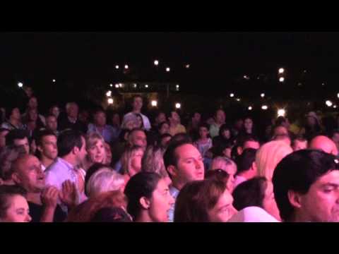 Zé Amaro : Senhora cegonha / Roseira enxertada