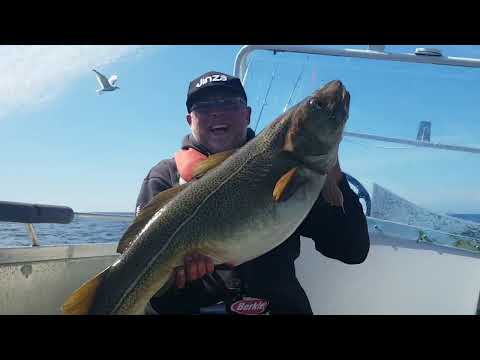 Big Five Norway Cup März 2023 auf Froja Heilbutt, Dorsch und mehr!