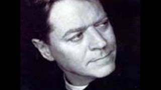 Robert Palmer -  Aeroplane