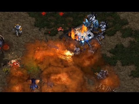 ASL CHAMPS! JyJ (T)! 🇰🇷 vs Queen 🇰🇷 (Z)! 🇰🇷 on Polypoid - StarCraft - Brood War Remastered