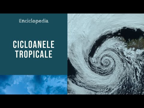 Tropical cyclones. What are they and how do they form?