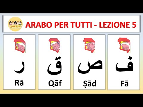 Arabic For Everyone - Free Arabic Course - Lesson 05 - The Alphabet - Letters ف ص ق ر