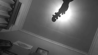 Rayuan Pulau Kelapa by Victorian Philharmonic Orchestra ( Violin Cover )