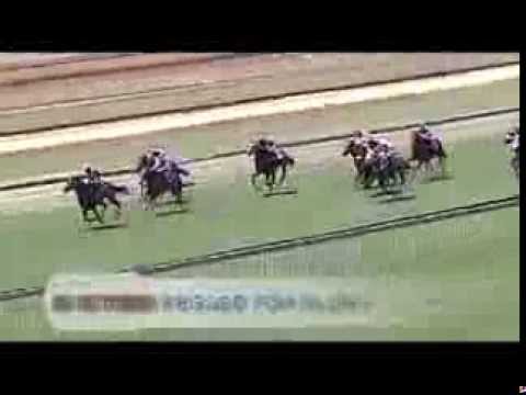 Jay Peg - Breeding To Win 2013 (Tellytrack)