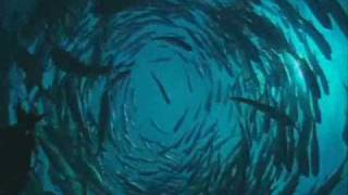 Chapter 2 GREEN: Predestination Volume 1