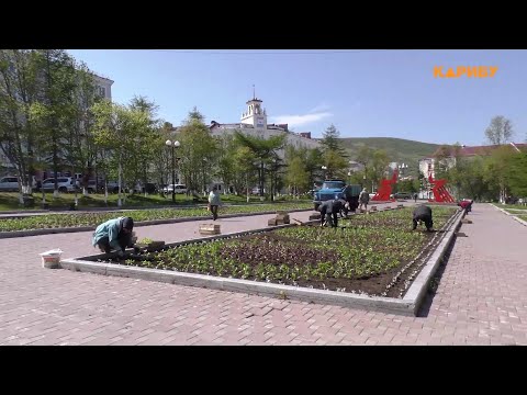 1,5 тысячи кустарников, 350 деревьев и 180 тысяч цветов украсили Магадан этим летом