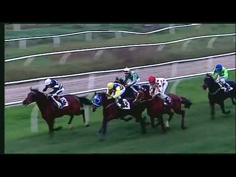 Napoli Galoppo 15/11/2022 - 5ª corsa