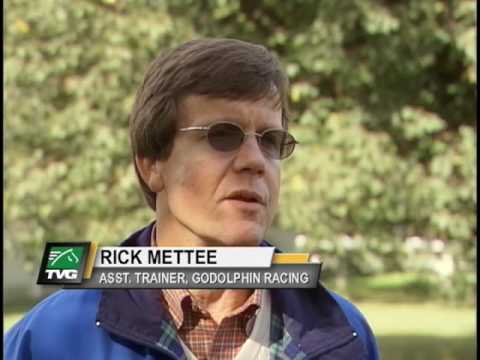 Breeders Cup Profile - Gayego