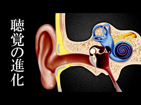 キプリヌスについて詳しく解説