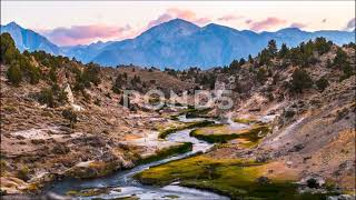 Adult Swim Bump Fanmade: Matthew Dear - Fleece On Brain