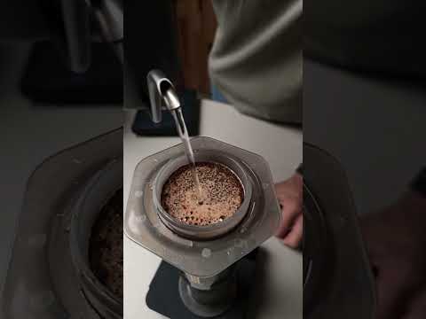 Coffee Dew Roastery Azaal Plus Specialty Coffee from Yemen 250g (Whole Beans).