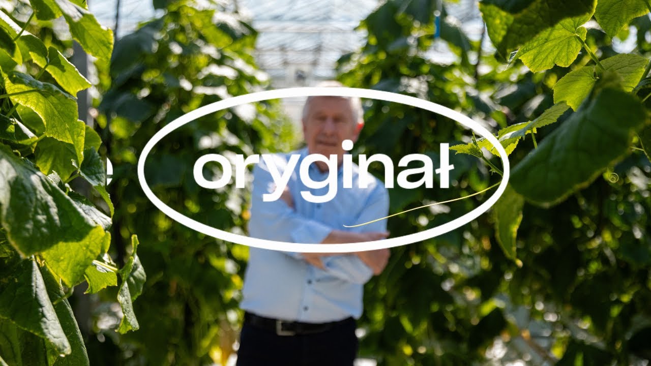 Video preview poster