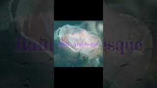Download lagu Relaxing Piano on a Rainy Day😴 Arabesque/Debussy 癒しピアノ 眠れるクラシック アラベスク ドビュッシー relax 雨の音 有名曲 mp3 Download lagu Relaxing Piano on a Rainy Day😴 Arabesque/Debussy 癒しピアノ 眠れるクラシック アラベスク ドビュッシー relax 雨の音 有名曲 mp3