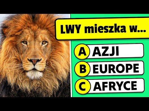 Jak Dobrze Znasz WIELKIE KOTY? 🦁🐯 Quiz o Zwierzętach ✅ Ogólna Wiedza